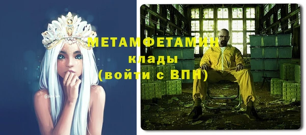 сатива Няндома